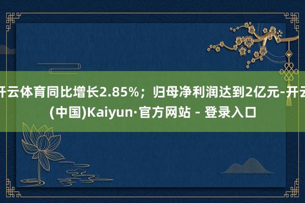 开云体育同比增长2.85%；归母净利润达到2亿元-开云(中国)Kaiyun·官方网站 - 登录入口