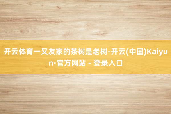 开云体育一又友家的茶树是老树-开云(中国)Kaiyun·官方网站 - 登录入口