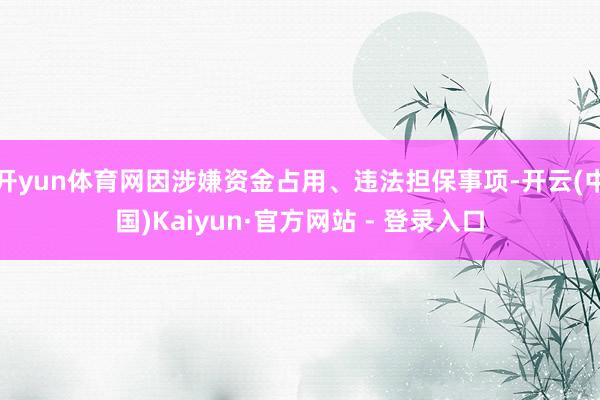 开yun体育网因涉嫌资金占用、违法担保事项-开云(中国)Kaiyun·官方网站 - 登录入口