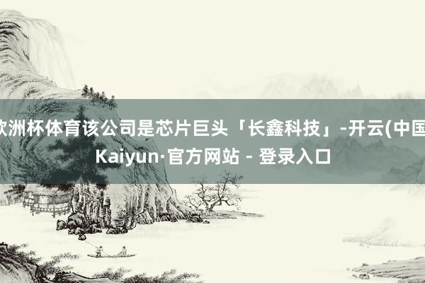 欧洲杯体育该公司是芯片巨头「长鑫科技」-开云(中国)Kaiyun·官方网站 - 登录入口