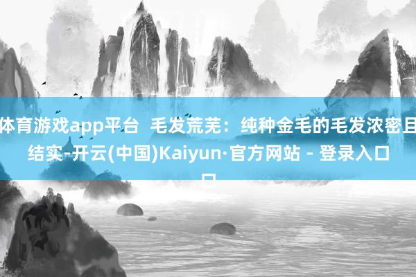 体育游戏app平台  毛发荒芜：纯种金毛的毛发浓密且结实-开云(中国)Kaiyun·官方网站 - 登录入口